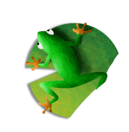 frog2