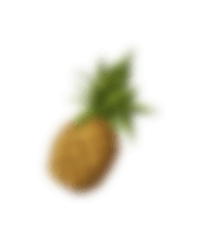 pineapple1