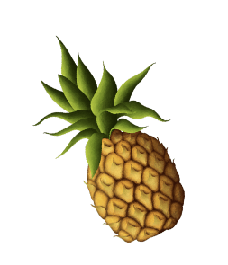 pineapple2