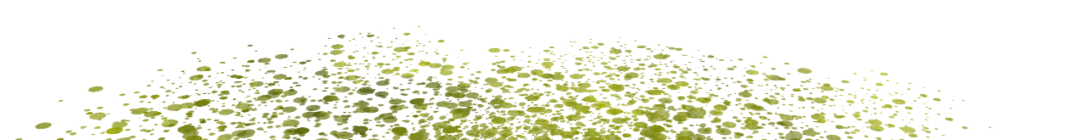 Product Theme Decoratives