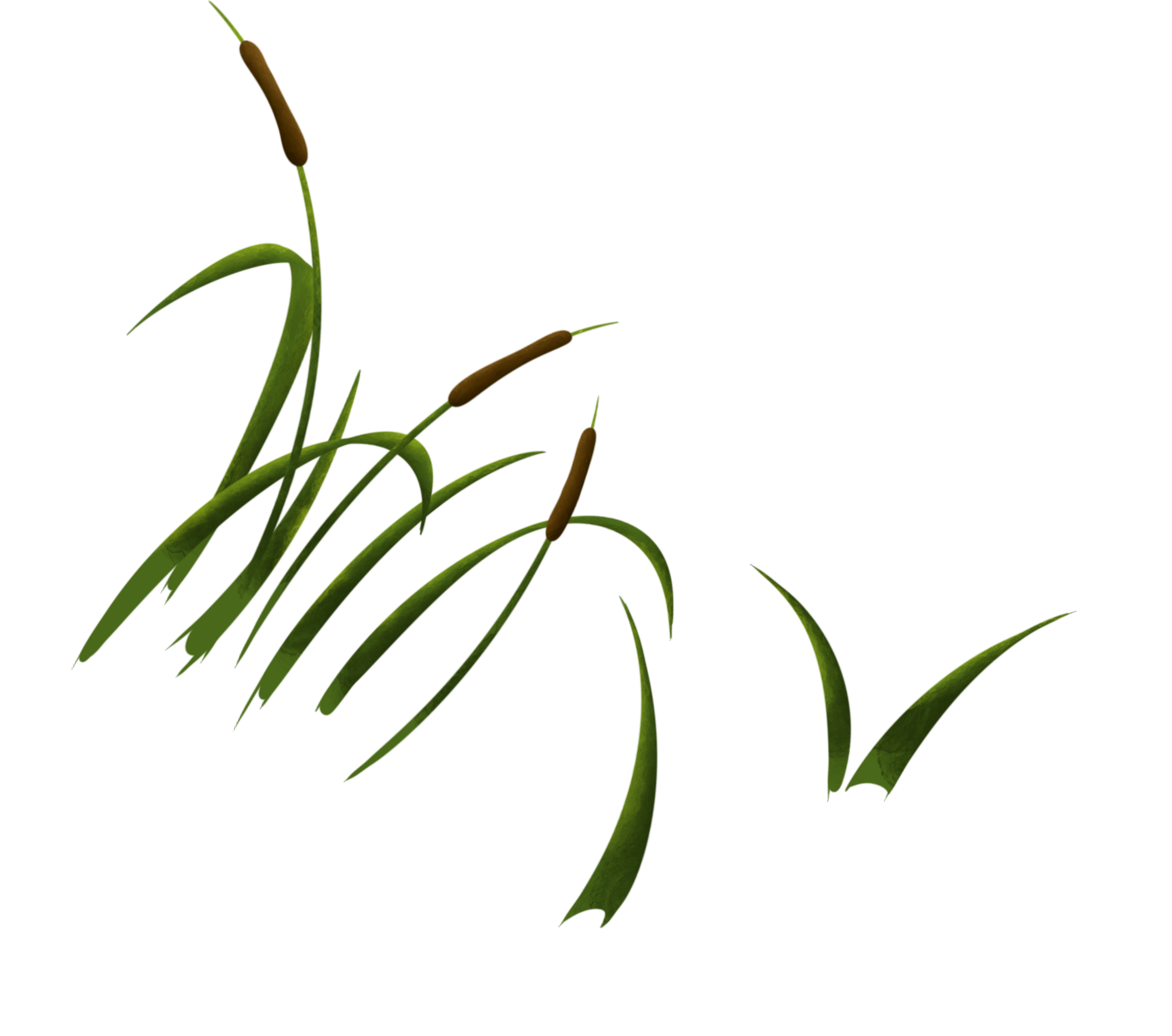 Product Theme Decoratives